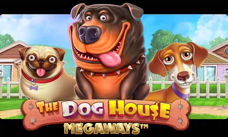the dog house megaways